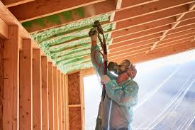 Best Eco-Friendly Insulation Solutions  in USA